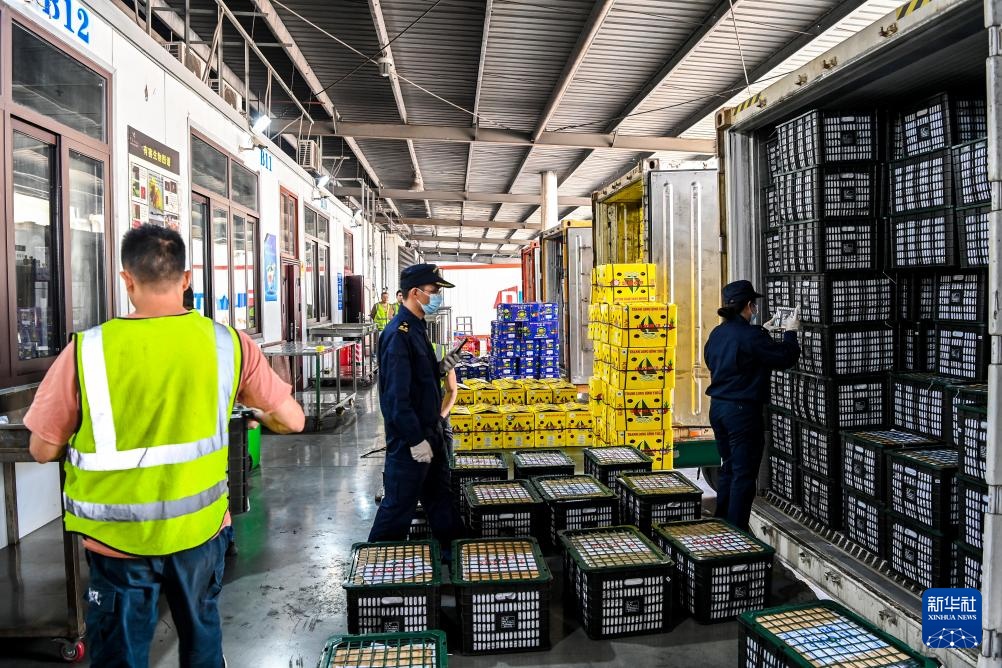 Hành lang thương mại đường bộ - đường biển mới miền Tây giúp nông sản đặc trưng dọc tuyến cùng chia sẻ lợi ích thị trường