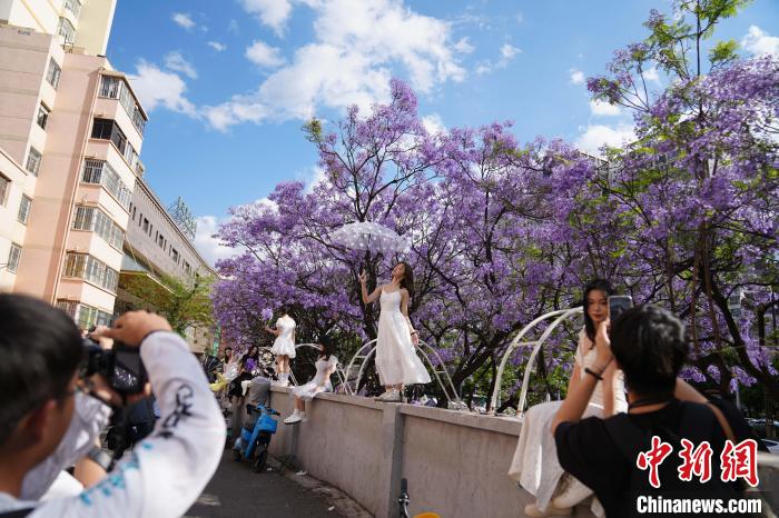 Côn Minh vào mùa phượng tím: Không gian lãng mạn níu chân du khách