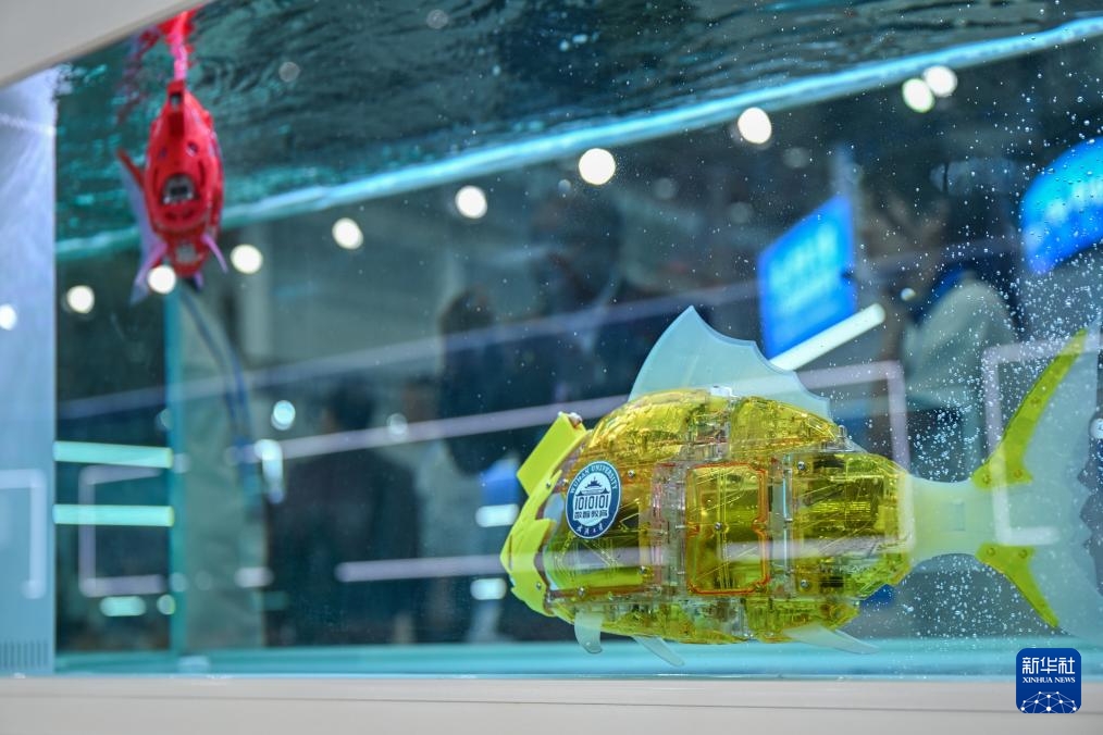 Hội nghị Giáo dục kỹ thuật số thế giới 2025 khai mạc tại Vũ Hán, Trung Quốc