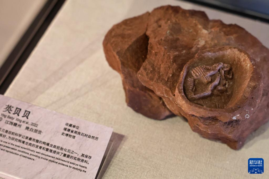 Triển lãm Khủng long Trung Quốc khai mạc tại Thượng Hải