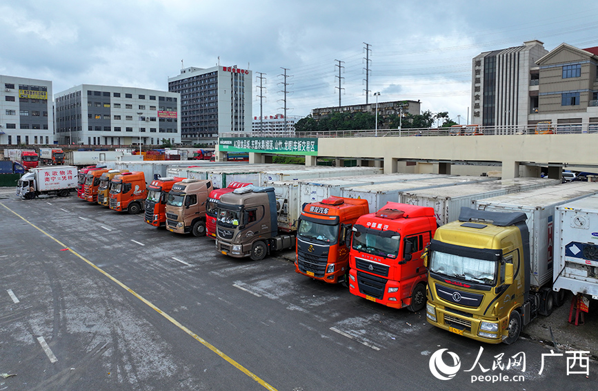 Những xe tải lạnh chở đầy hoa quả tươi từ các nước ASEAN đang được bốc dỡ tại khu vực giao nhận hàng chợ đầu mối hoa quả Hải Cát Tinh, Nam Ninh, Quảng Tây, Trung Quốc.  Ảnh: Phó Hoa Châu - Nhân Dân nhật báo điện tử