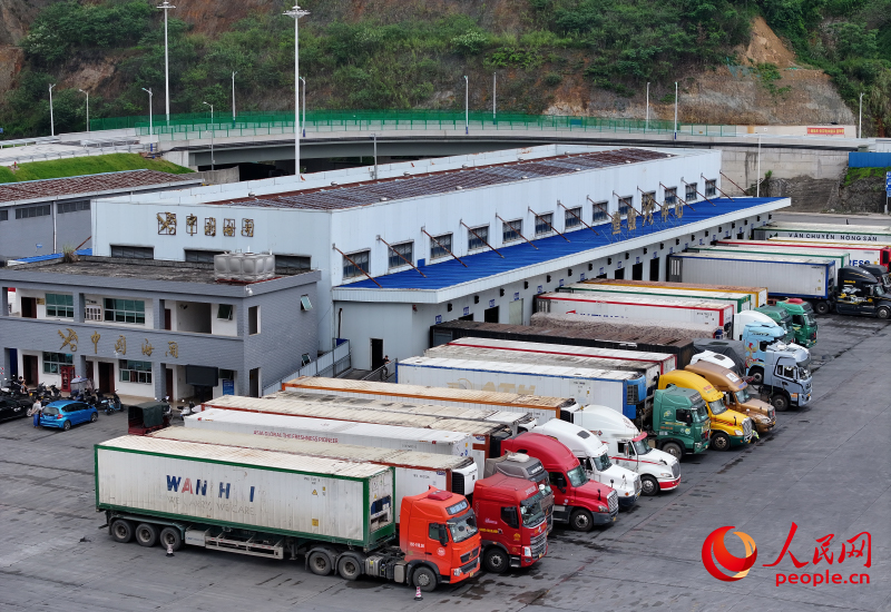 Các phương tiện đỗ ngay ngắn, chờ đợi kiểm tra. Ảnh: Lôi Kỳ Tuấn - Nhân Dân nhật báo điện tử