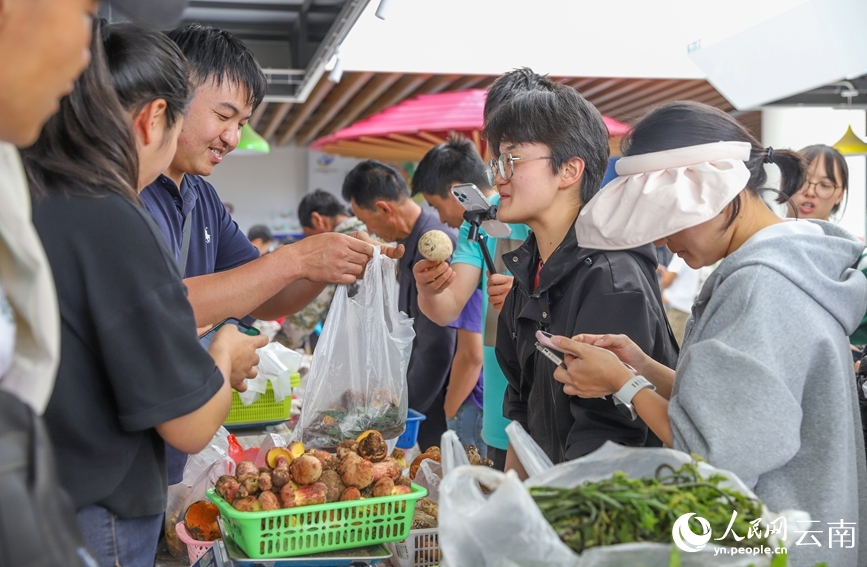 Nấm hoang dã Nam Hoa (Vân Nam, Trung Quốc) được bán chạy trên thị trường