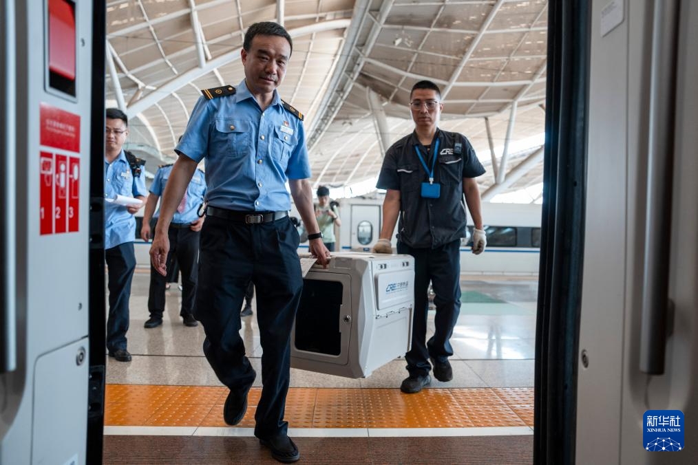 Vũ Hán, Trung Quốc: “thú cưng” đi tàu cao tốc