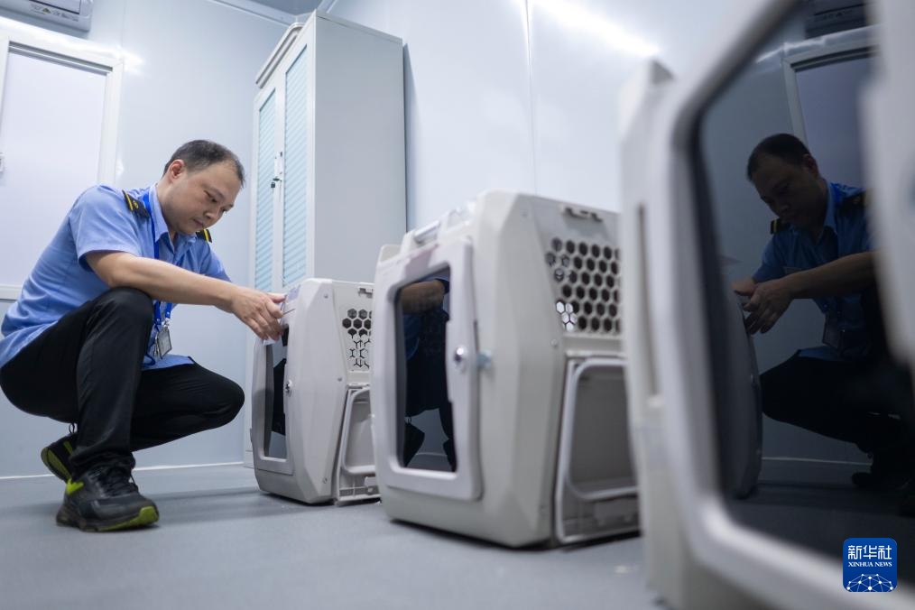 Vũ Hán, Trung Quốc: “thú cưng” đi tàu cao tốc