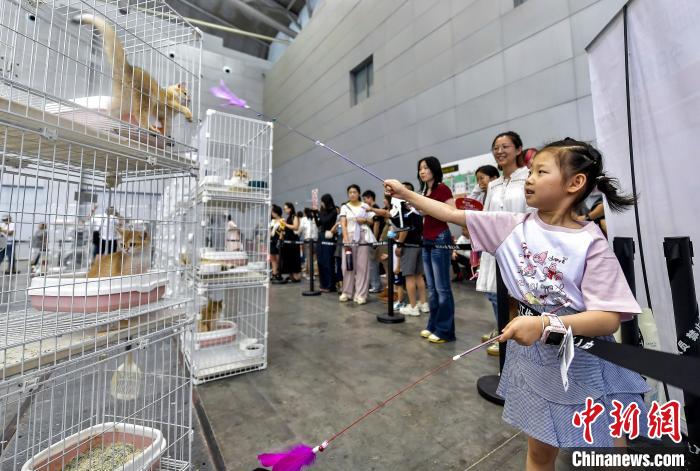 Triển lãm thú cưng đầu tiên tại Tân Cương, Trung Quốc: Nơi hội tụ của những “người bạn nhỏ” đáng yêu