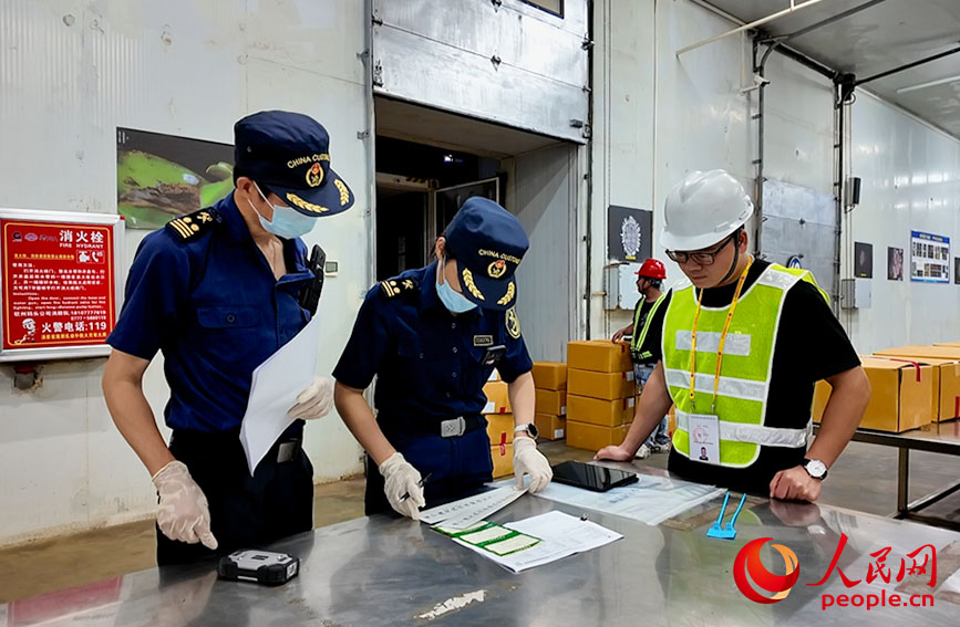 Nhân viên hải quan đang kiểm tra, giám sát hàng hóa. Ảnh: Lương Chương Huy - Nhân Dân nhật báo điện tử