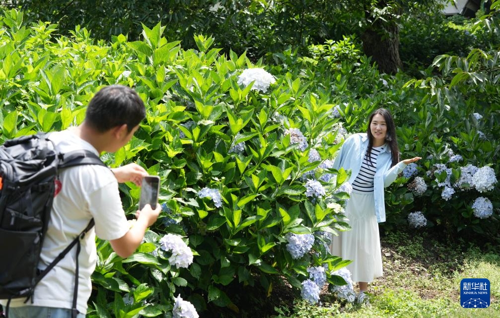 Vân Nam, Trung Quốc bước vào mùa cao điểm du lịch hè