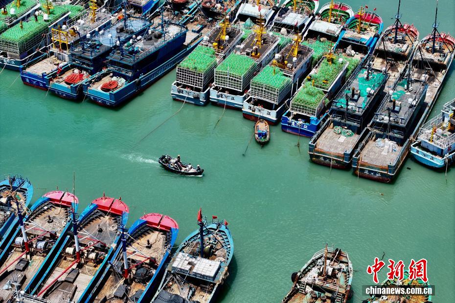 Bão “Dương Liễu” áp sát, tàu cá Liên Giang (Phúc Kiến) trở về cảng tránh bão