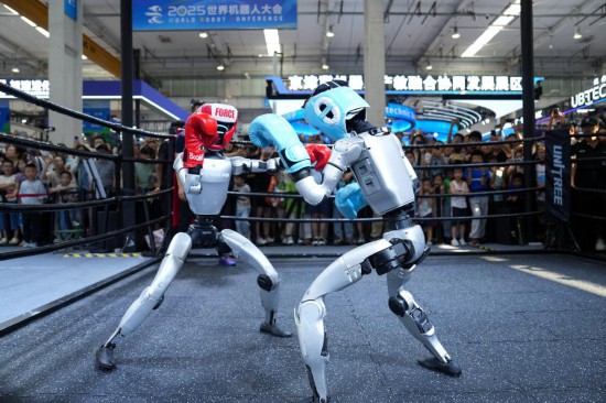 Tại triển lãm thuộc Hội nghị Robot Thế giới 2025, khách tham quan đang xem hai robot hình người thi đấu boxing tại gian hàng Unitree Robotics (ảnh chụp vào ngày 11 tháng 8). Ảnh: Cục Hoán Tông - Phóng viên Tân Hoa xã