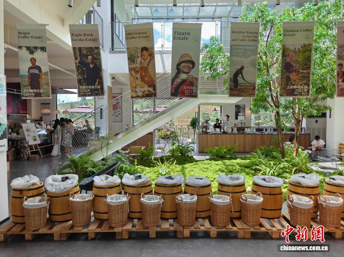 Đến Phổ Nhĩ uống cà phê, cảm nhận nhịp sống chậm rãi của Vân Nam