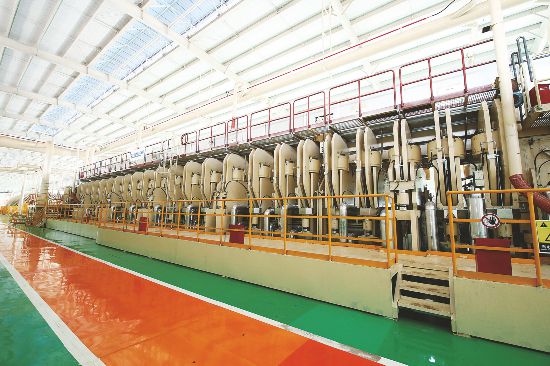 Bên trong nhà máy Nam Ninh của Công ty TNHH Tập đoàn Lâm nghiệp Fenglin Quảng Tây.