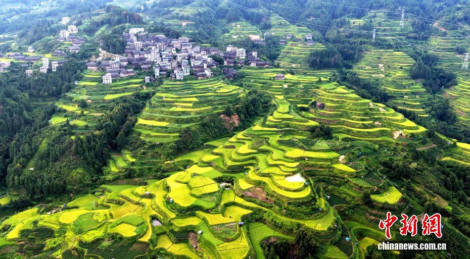 Tam Giang, Quảng Tây: Ruộng bậc thang đẹp như tranh vẽ tại quê hương dân tộc Đồng