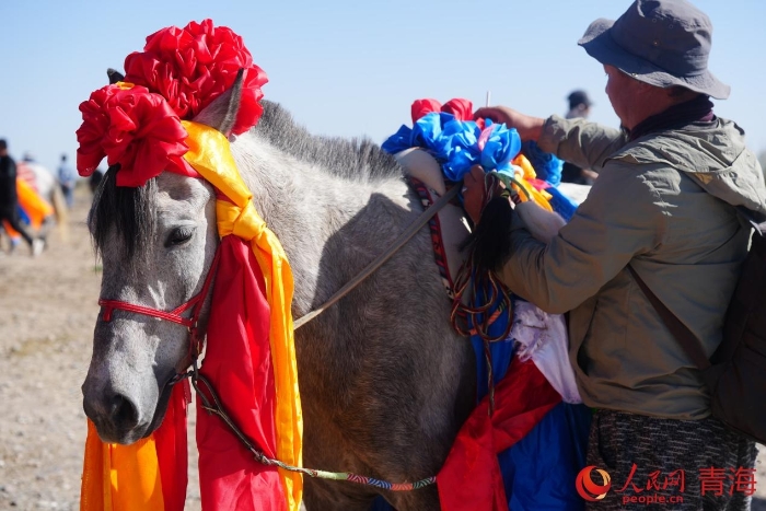 Lễ hội Naadam ở Hải Tây (Thanh Hải): Cuộc thi sôi động trên thảo nguyên
