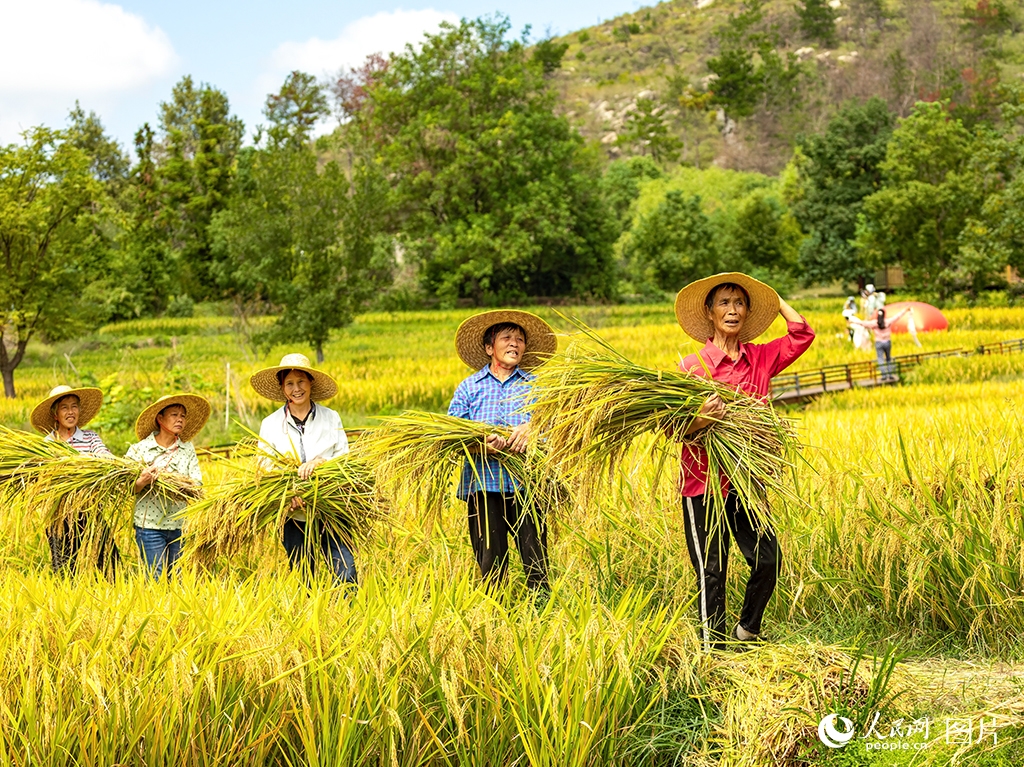 Trung Quốc chào đón Lễ hội Thu hoạch nhà nông lần thứ 8 năm 2025