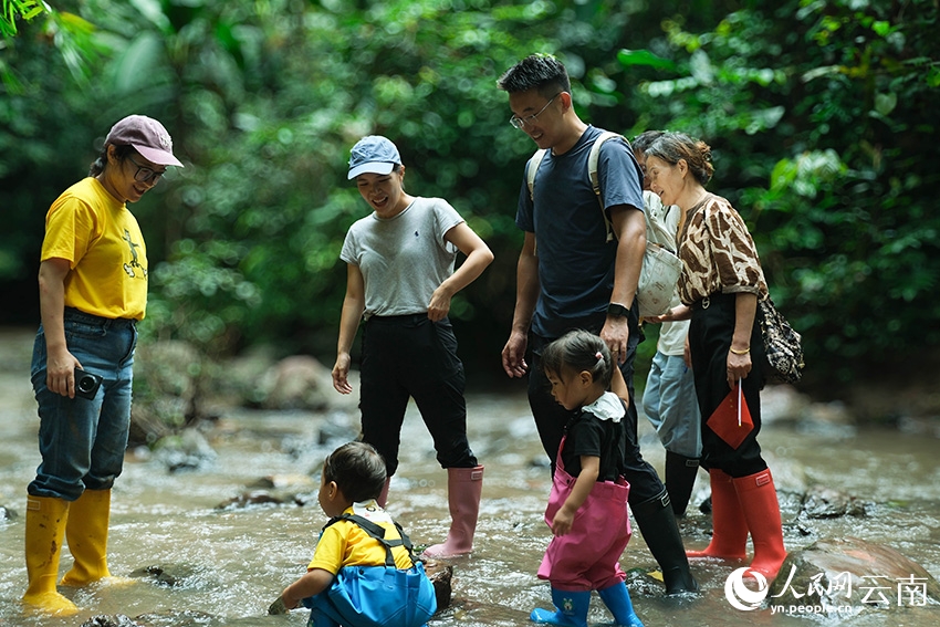 Khách du lịch trekking trong rừng mưa nhiệt đới.Ảnh: Tăng Trí Tuệ - Nhân Dân nhật báo điện tử