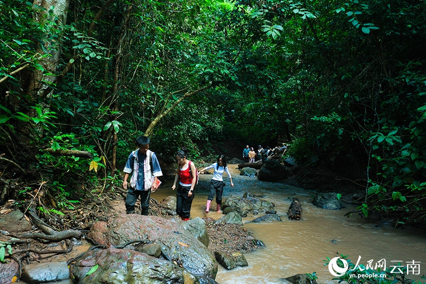 Trekking rừng mưa nhiệt đới đem lại sức sống mới cho làng dân tộc thiểu số Vân Nam