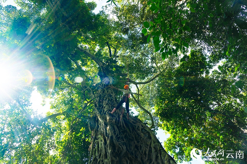 Trekking rừng mưa nhiệt đới đem lại sức sống mới cho làng dân tộc thiểu số Vân Nam