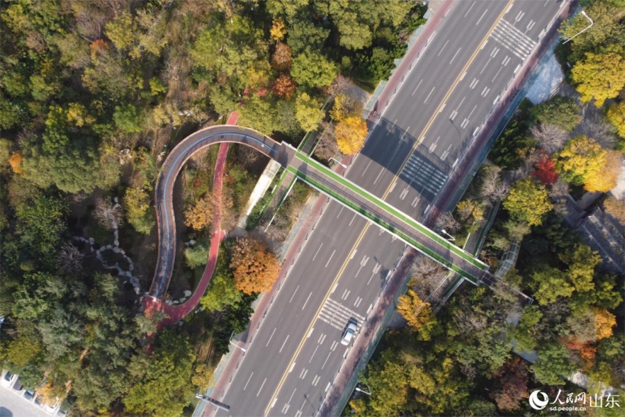 Hành trình Trung Quốc – Hệ thống đường cây xanh tạo nên “vẻ đẹp phố núi” tại Tế Nam