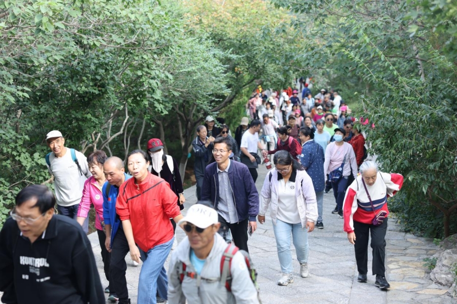 Hành trình Trung Quốc – Hệ thống đường cây xanh tạo nên “vẻ đẹp phố núi” tại Tế Nam