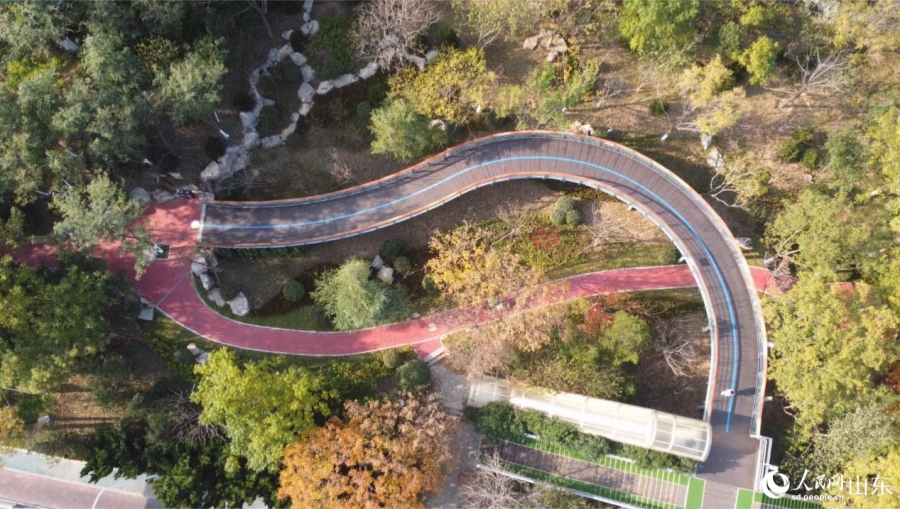 Hành trình Trung Quốc – Hệ thống đường cây xanh tạo nên “vẻ đẹp phố núi” tại Tế Nam