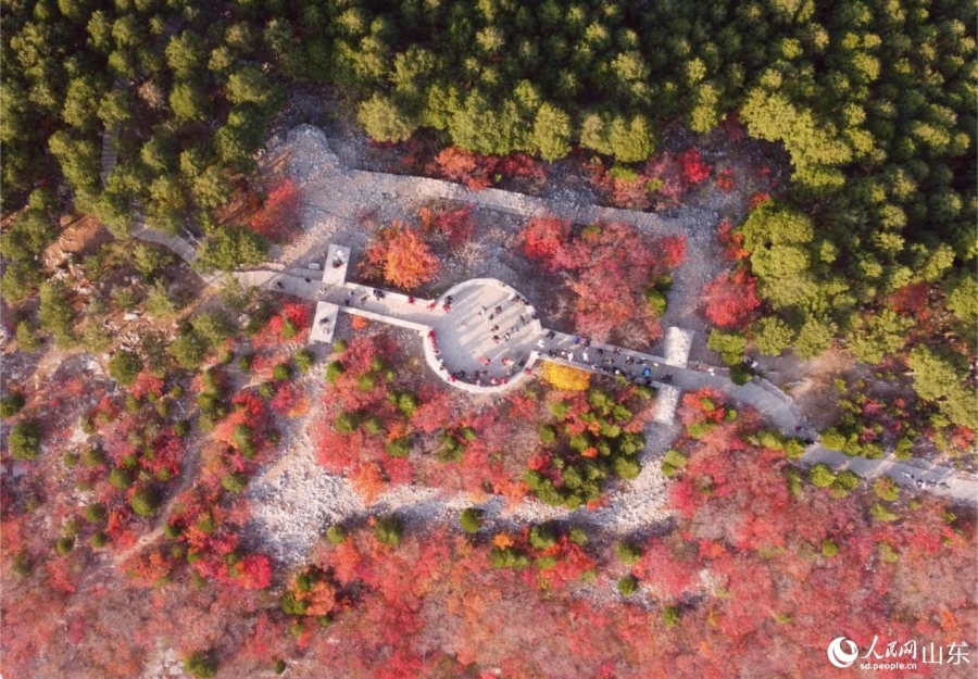 Hành trình Trung Quốc – Hệ thống đường cây xanh tạo nên “vẻ đẹp phố núi” tại Tế Nam