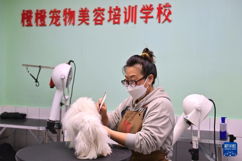 An Sơn, Liêu Ninh: Kinh tế thú cưng tiếp thêm động lực cho phát triển thành phố