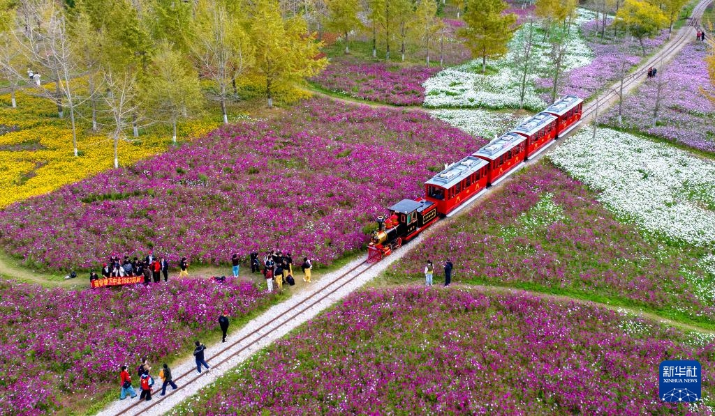 Ngắm nhìn phong cảnh đầu đông Trung Quốc từ trên cao