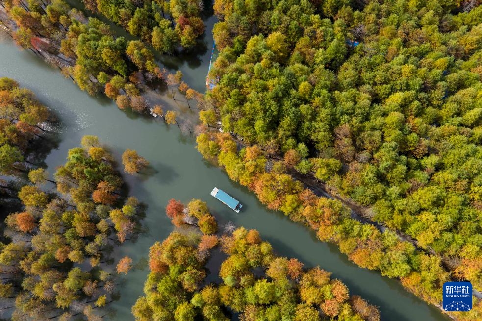 Ngắm nhìn phong cảnh đầu đông Trung Quốc từ trên cao