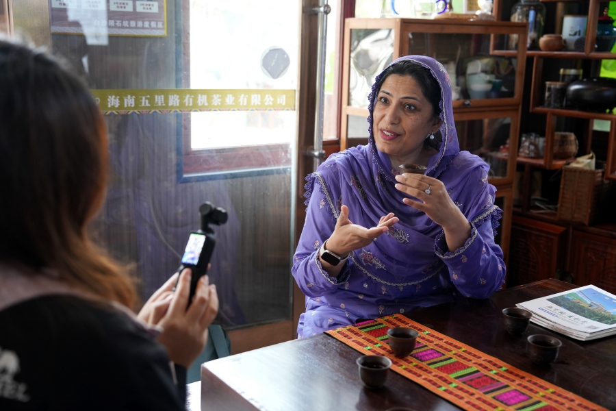 Vườn trà hữu cơ huyện Bạch Sa thu hút phóng viên các quốc gia