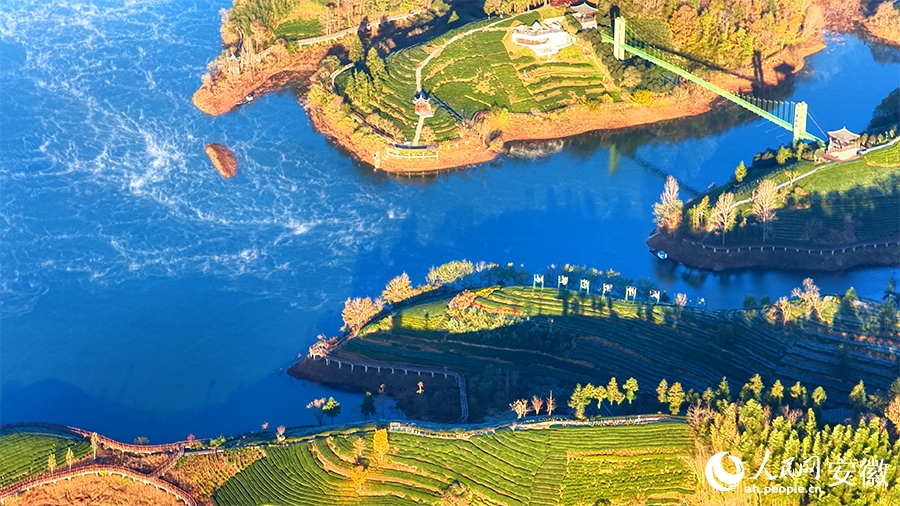 An Huy: Thung lũng Tây Trà trong màn sương huyền ảo