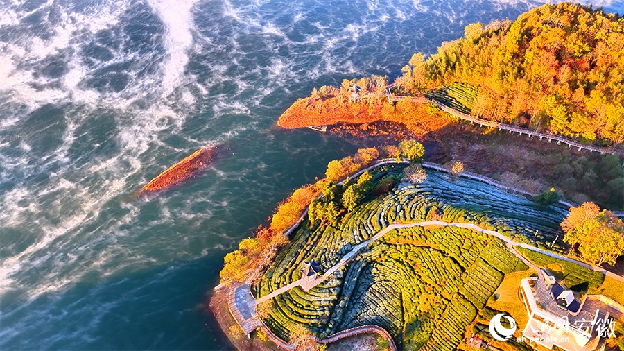 An Huy: Thung lũng Tây Trà trong màn sương huyền ảo