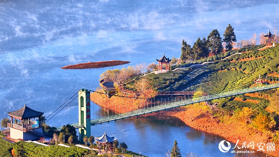 An Huy: Thung lũng Tây Trà trong màn sương huyền ảo