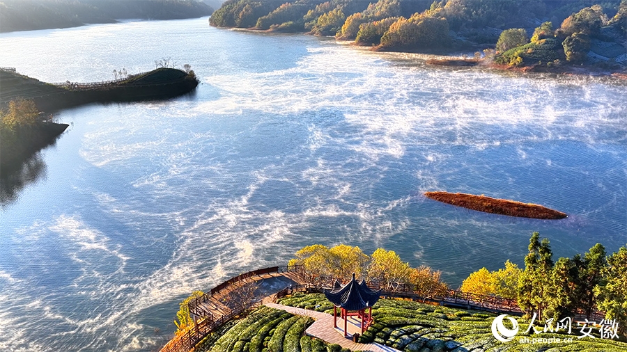 An Huy: Thung lũng Tây Trà trong màn sương huyền ảo