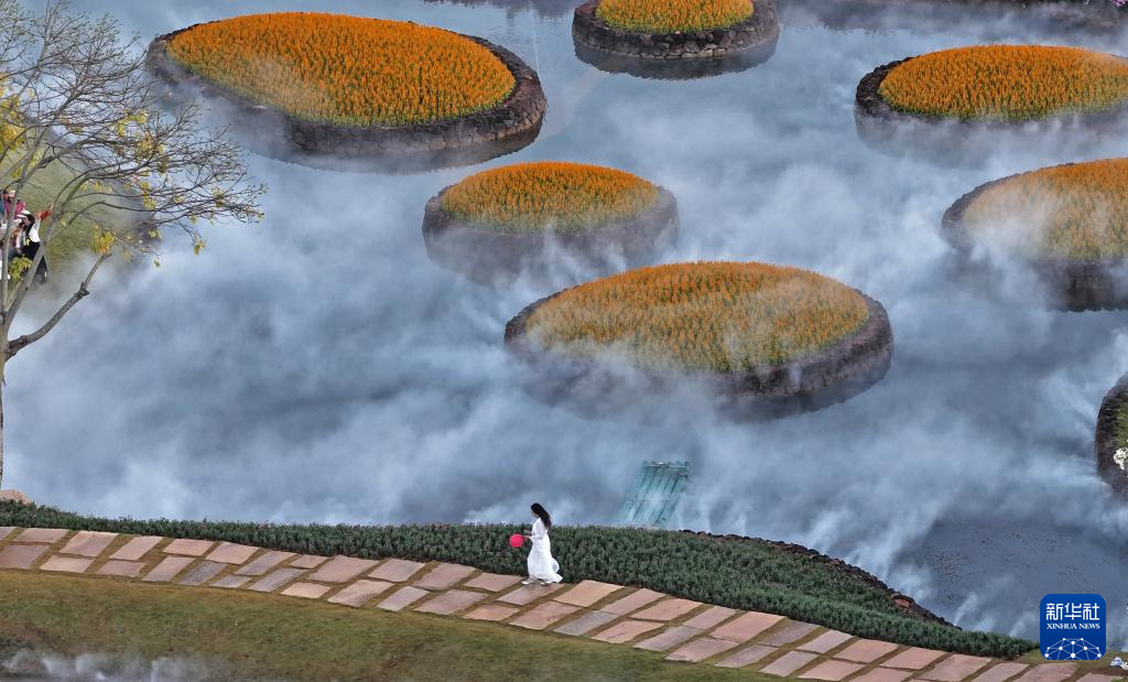 Sắc hoa rực rỡ dưới nắng ấm ở Nam Ninh