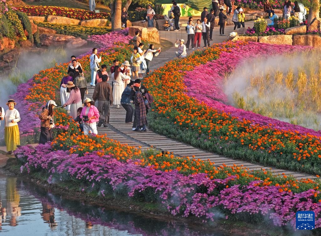 Sắc hoa rực rỡ dưới nắng ấm ở Nam Ninh