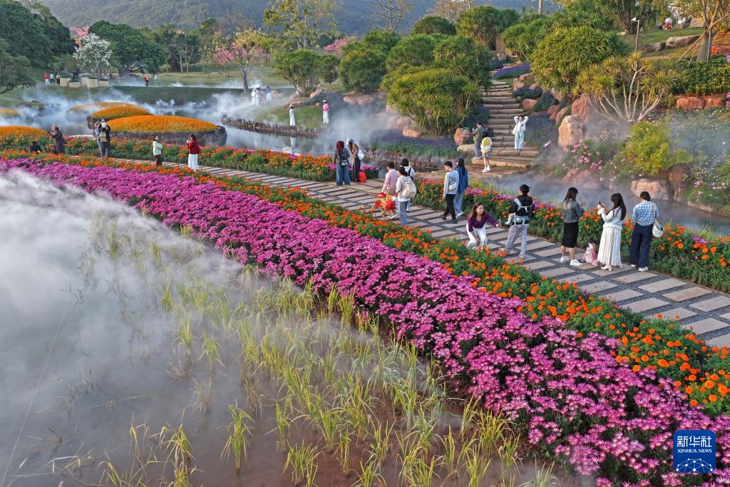 Sắc hoa rực rỡ dưới nắng ấm ở Nam Ninh