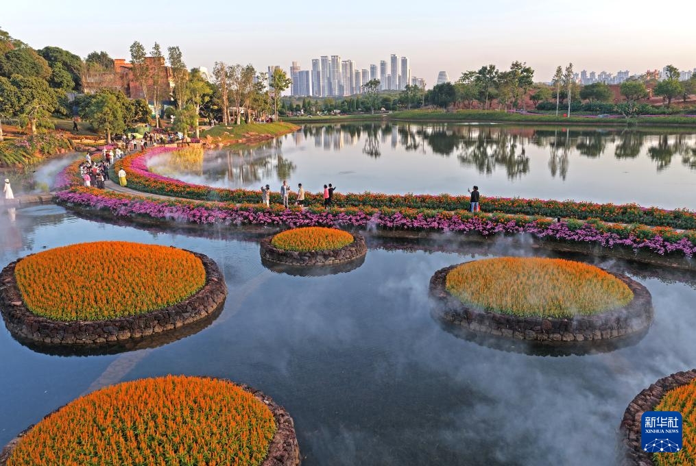 Sắc hoa rực rỡ dưới nắng ấm ở Nam Ninh