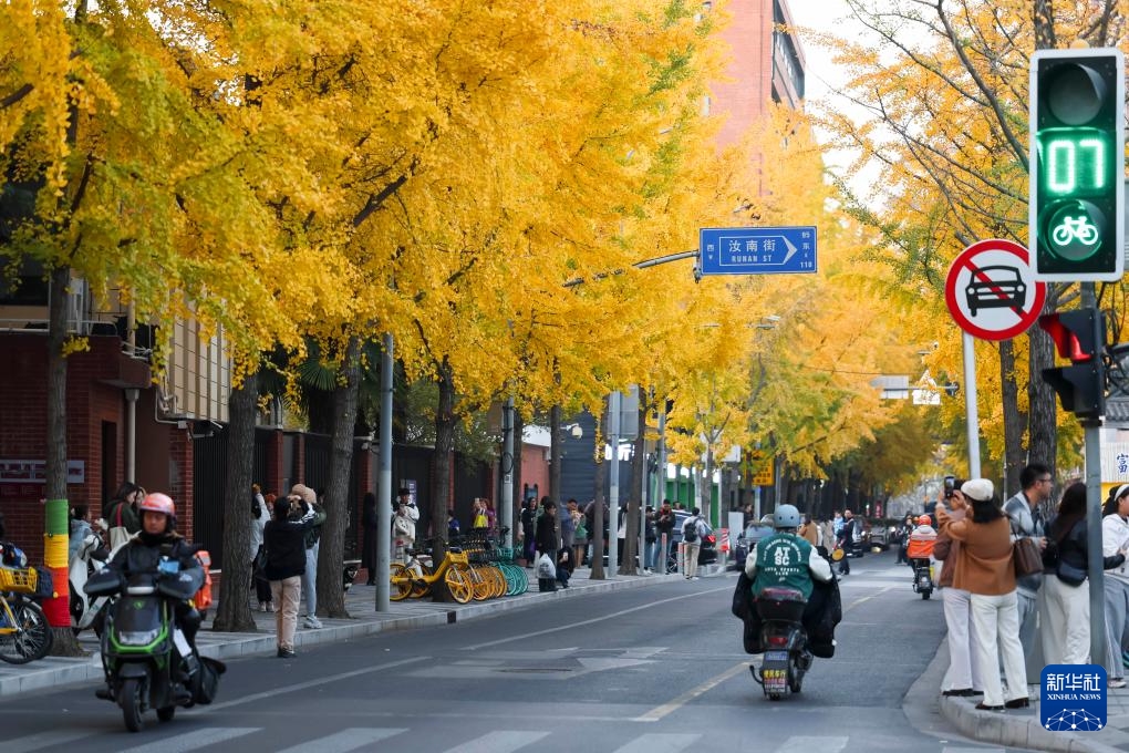 Bức tranh ngày đông muôn màu tại Trung Quốc