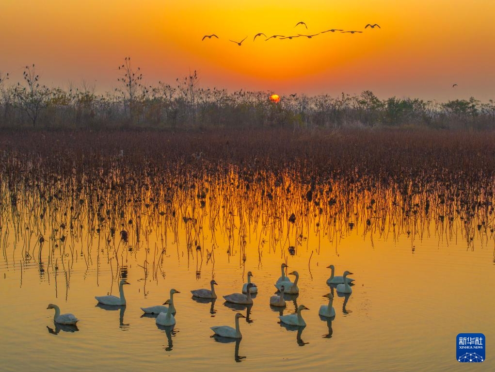 Bức tranh ngày đông muôn màu tại Trung Quốc