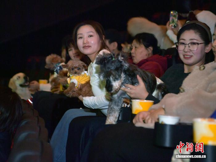 Cát Lâm: Dịch vụ “xem phim cùng thú cưng” được yêu thích