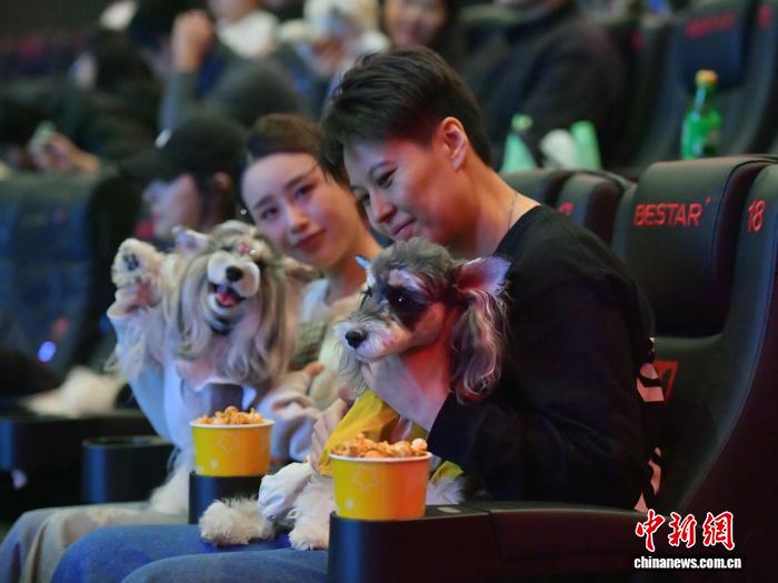 Cát Lâm: Dịch vụ “xem phim cùng thú cưng” được yêu thích