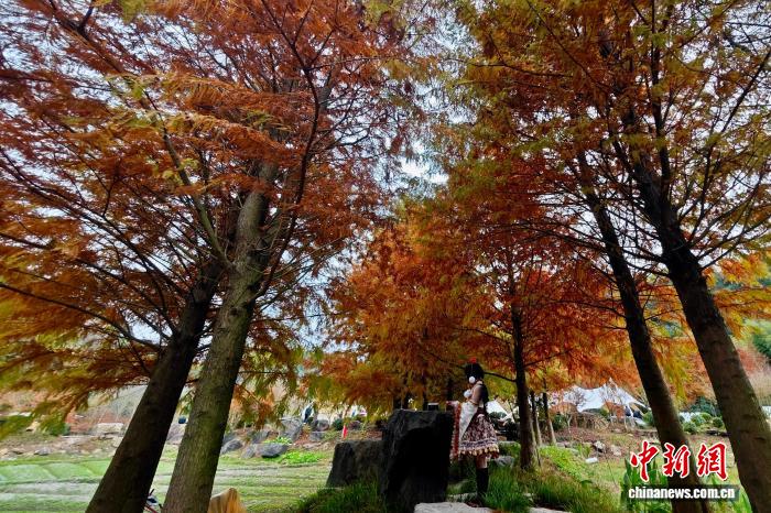 Khung cảnh mùa đông ở nông thôn Phúc Châu thu hút du khách