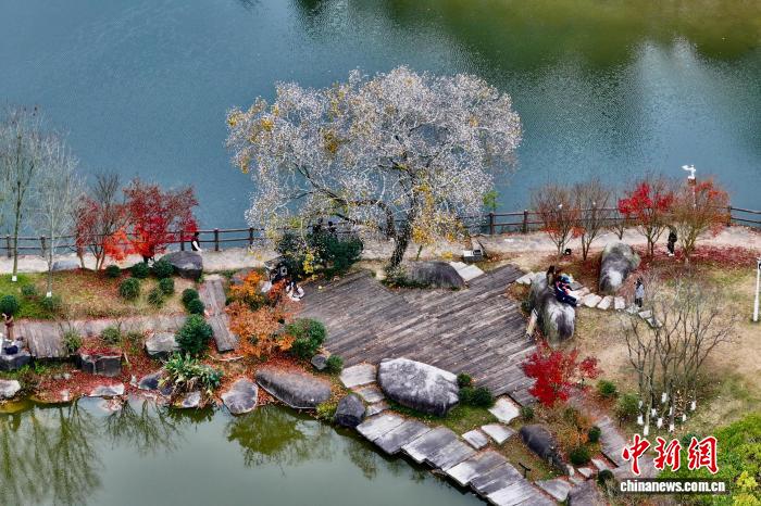 Khung cảnh mùa đông ở nông thôn Phúc Châu thu hút du khách