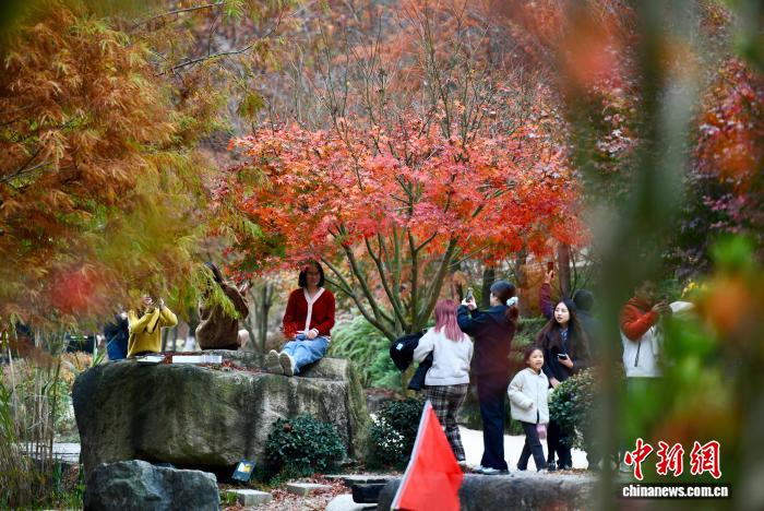 Khung cảnh mùa đông ở nông thôn Phúc Châu thu hút du khách