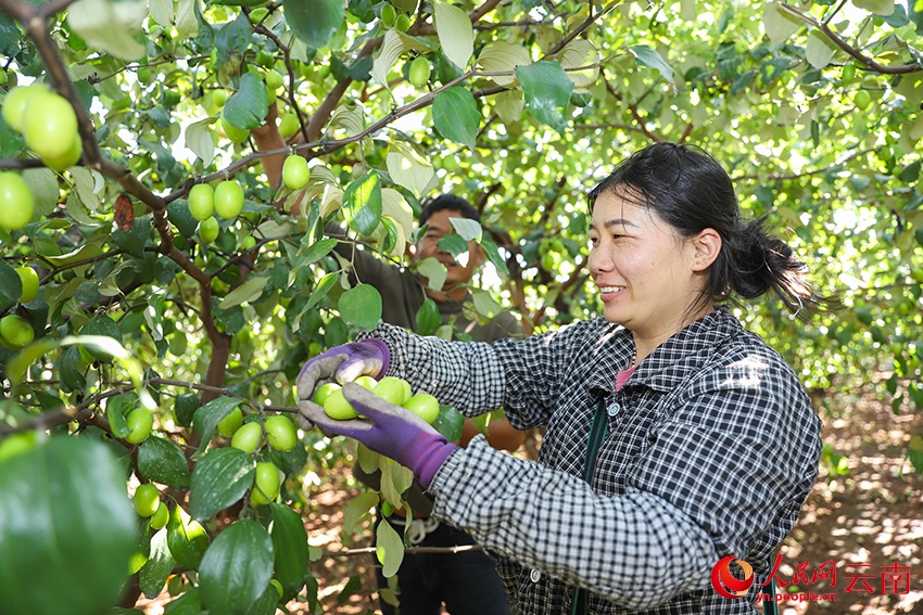 Rau quả vụ đông bội thu tại huyện Nguyên Mặc