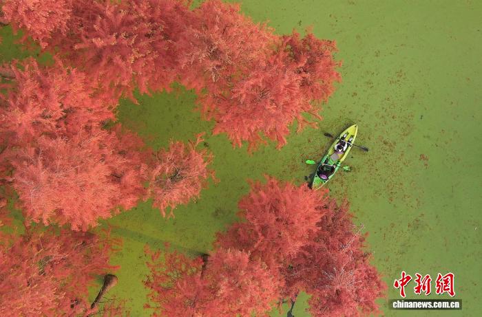 Ngày 11 tháng 12, khách du lịch ngồi thuyền ngắm cảnh trên hồ(ảnh được chụp bằng drone).Ảnh: Vương Cương - Phóng viên Chinanews 