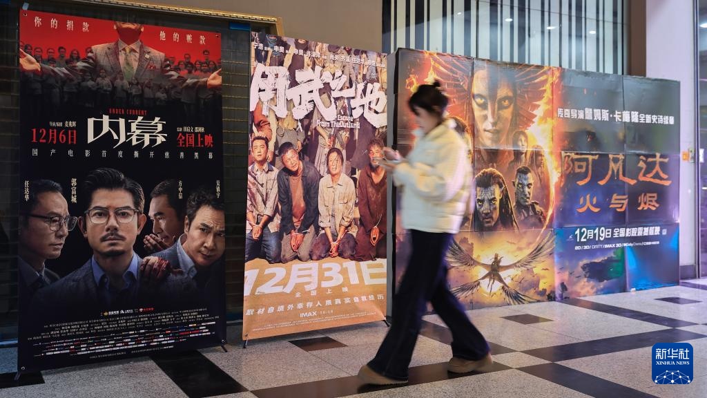 Ngày 13 tháng 12, khán giả đi ngang qua các poster phim tại một rạp chiếu phim ở thành phố Nam Kinh, tỉnh Giang Tô, Trung Quốc. Theo Tân Hoa xã (Ảnh: Tô Dương)