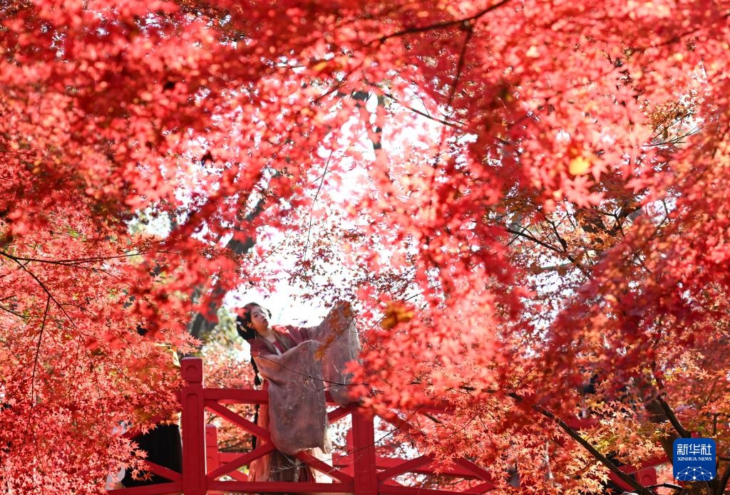 Phong cảnh tháng mười âm lịch tại Trung Quốc