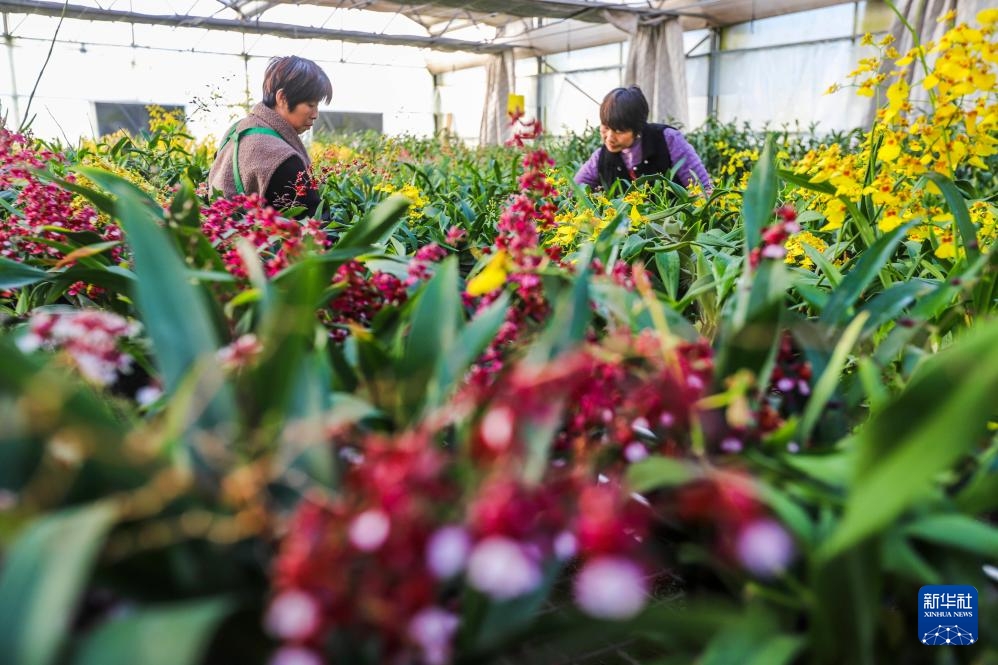 Hoa tươi đắt hàng dịp cận Tết Dương lịch